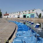 Recreational Boats - Old Port
