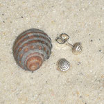 Schnecke Ohrstecker Design 8