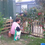 jardinage sur la terrasse