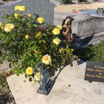 Fleurissement et entretien de la tombe de Caroline Aigle à Chambolle Musigny.