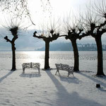 Auf Mainau ist es im Winter einsam, hier können Besucher die Stille des Bodensees genießen. Foto: Mainau Tourismus