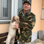 l'amico Alberto con la giovanissima Queen dell'aserei ( ch Mardok della vecchia irlanda x Venus )