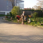 manche hatten auch andere Aufgaben...