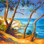 Les pins Banyuls 65x54 1050€