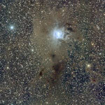 NGC7023, la nébuleuse de l'Iris, 15x120s, 12 août, Ardèche, Lionel