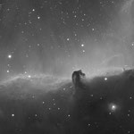 IC434, la Tête de Cheval, en noir & blanc, Jean-Louis