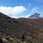 Pic de Teide, Fabien