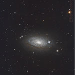 M63, Fabien