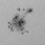 AR 2673, 4 septembre, Willy