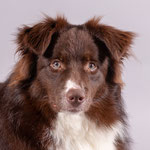 Marley 135241122