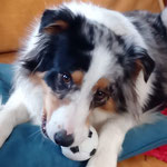 Olly 119170125