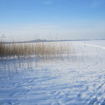 Usedom Winter 