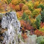 Goldener Herbst in der Hersbrucker Alb – Höhenglücksteig