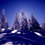 Schnee