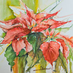 Christmas Poinsettia  14,2 in. x 18.9 in. - 36 cm x 48 cm - 420,00 Euro