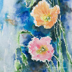 Icelandic Poppies - 9,4 in. x 12,6 in. - 24 x 32 cm - Private Collection