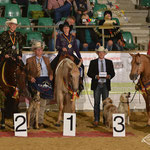 German Open 2014 , Foto: Figure Eight 