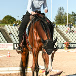 Foto:luxcompany 