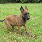 ... bis der Dreck hält...