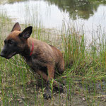 wenn der Morast hält geht's weiter...