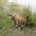 dann wenden nach links...