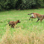 ... dann noch die Tobe-Probe - fertig!