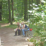 Die Spielleute im Kletterwald in Blankenburg am 20.07.2014