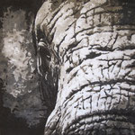Elephant (encadré : 66cmx66cm) - Sables naturels