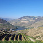 Das Dourotal ist bekannt für den Weinanbau.