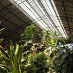 Atocha Bahnhof mit Palmengarten