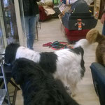 Familie Endris