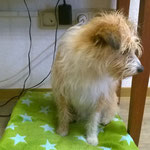 Emile