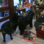 Familie Endris