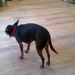 Peggy