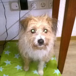 Emile