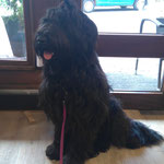 Hetty