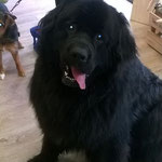Murphy