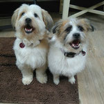 Mia & Lucy Geschwister