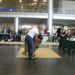 Sonny with handler and breeder Shar pei -Beata Pacuła