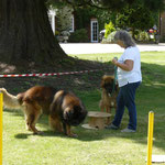 Pam ,Keen and friend Keen -DASH 