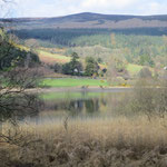 Glendalough Lower Lake