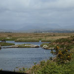 Connemara