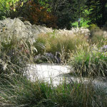Schönheit der Gräser,  Landesgartenschau Bad Schallerbach 2009