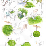 2018 年2月号「杉玉づくり」
