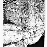 71)  La Miseria - Penna Bic, pennarello su carta - 24x33 - 2021 - NON DISPONIBILE -