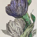 245)  Inchiostro, graphite e acquerello su carta - 25,5x35,5 cm - 2023 - NON DISPONIBILE -