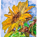 195)  Inchiostro e acquerello su carta - 21x29,7 cm - 2023 - NON DISPONIBILE -