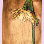 183)    - NON DISPONIBILE - 