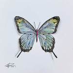 184)  Inchiostro e matite colorate su carta - 29,7x29,7 cm - 2023 - IN VENDITA -