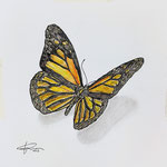 185)  Inchiostro e matite colorate su carta - 29,7x29,7 cm - 2023 - IN VENDITA -